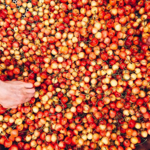 Antica Distilleria Quaglia - Die Definition Italienischer Trinkkultur